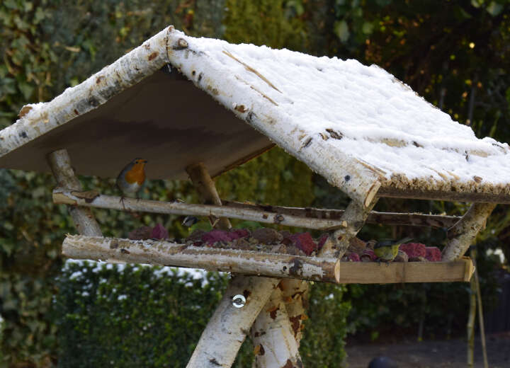 dobar XXL-Vogelfutterhaus Birke inkl. Ständer